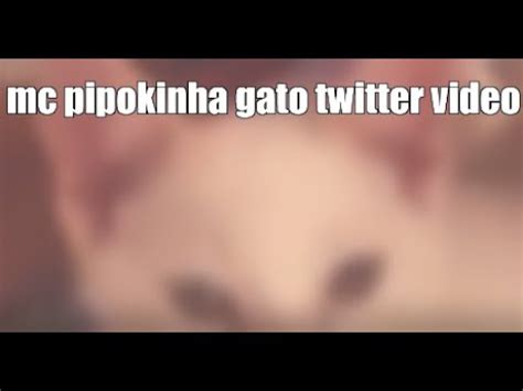 mc pipokinha video dos gatos|PIPOKINHA CAT LICKING ORIGINAL VIDEO 